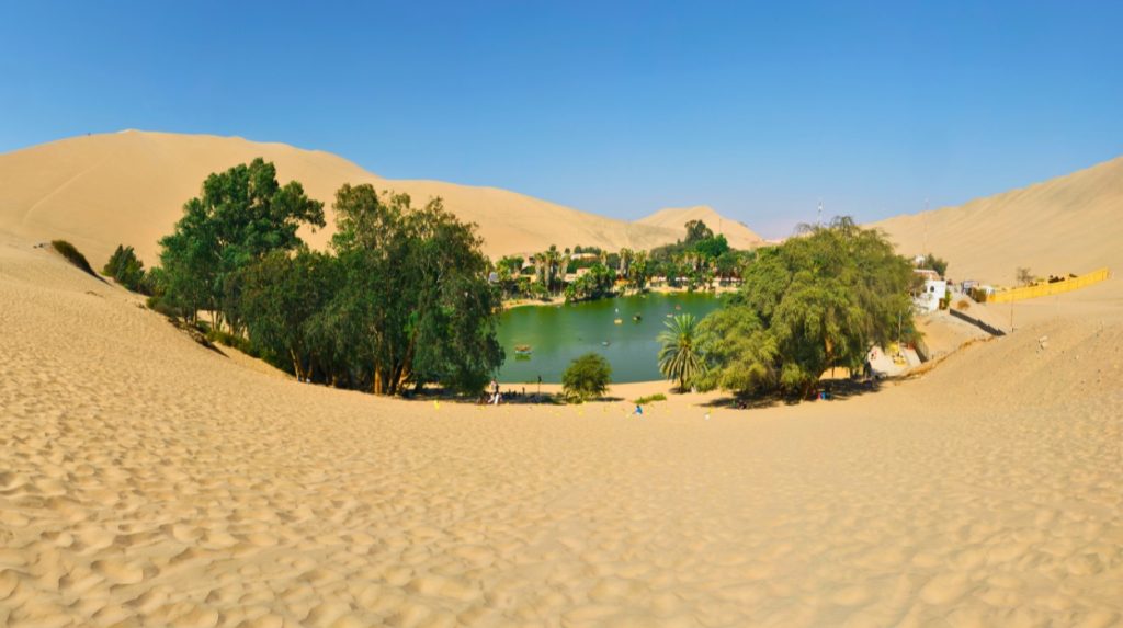 A lush oasis in the middle of a sandy desert